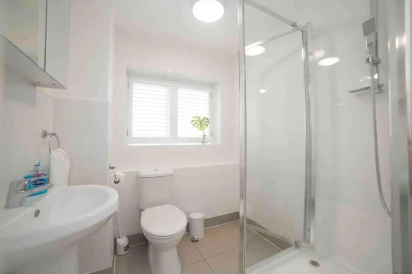Albergue Wilson House - Camden
